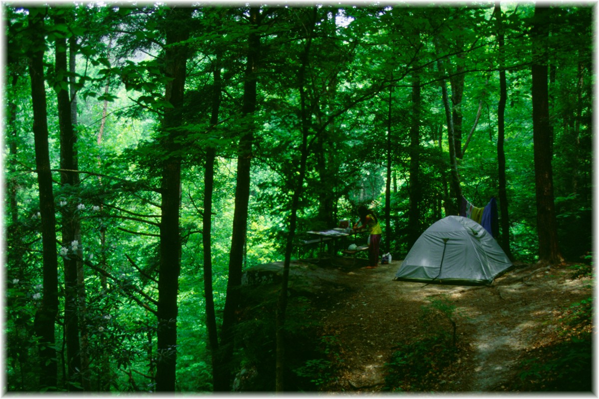 USA, Cumberland Falls State Park, Kentucky