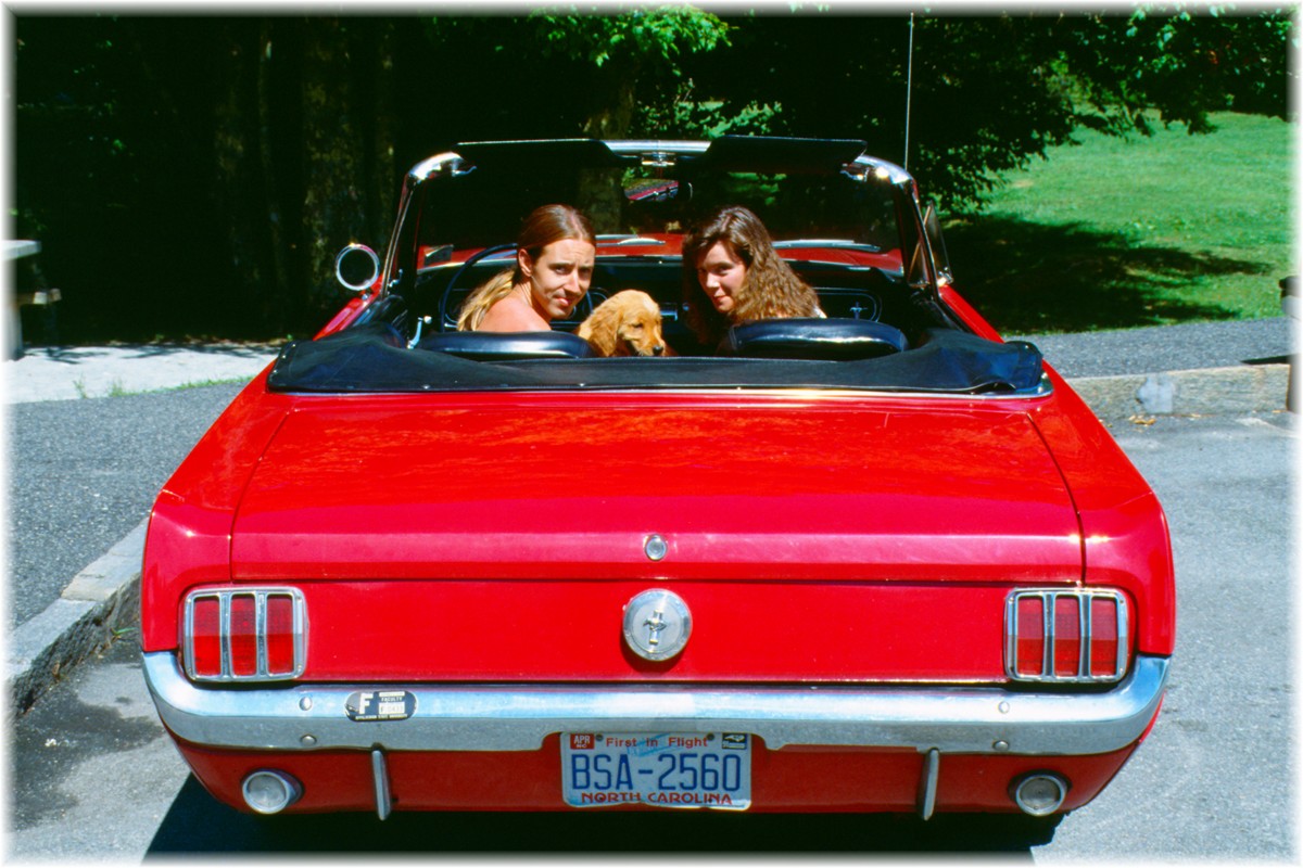 USA, Ford Mustang convertible