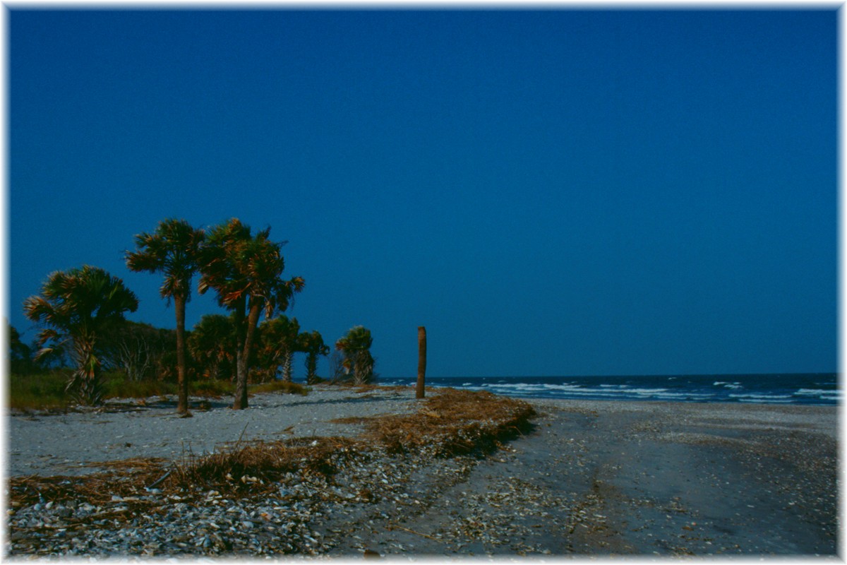 USA, South Carolina