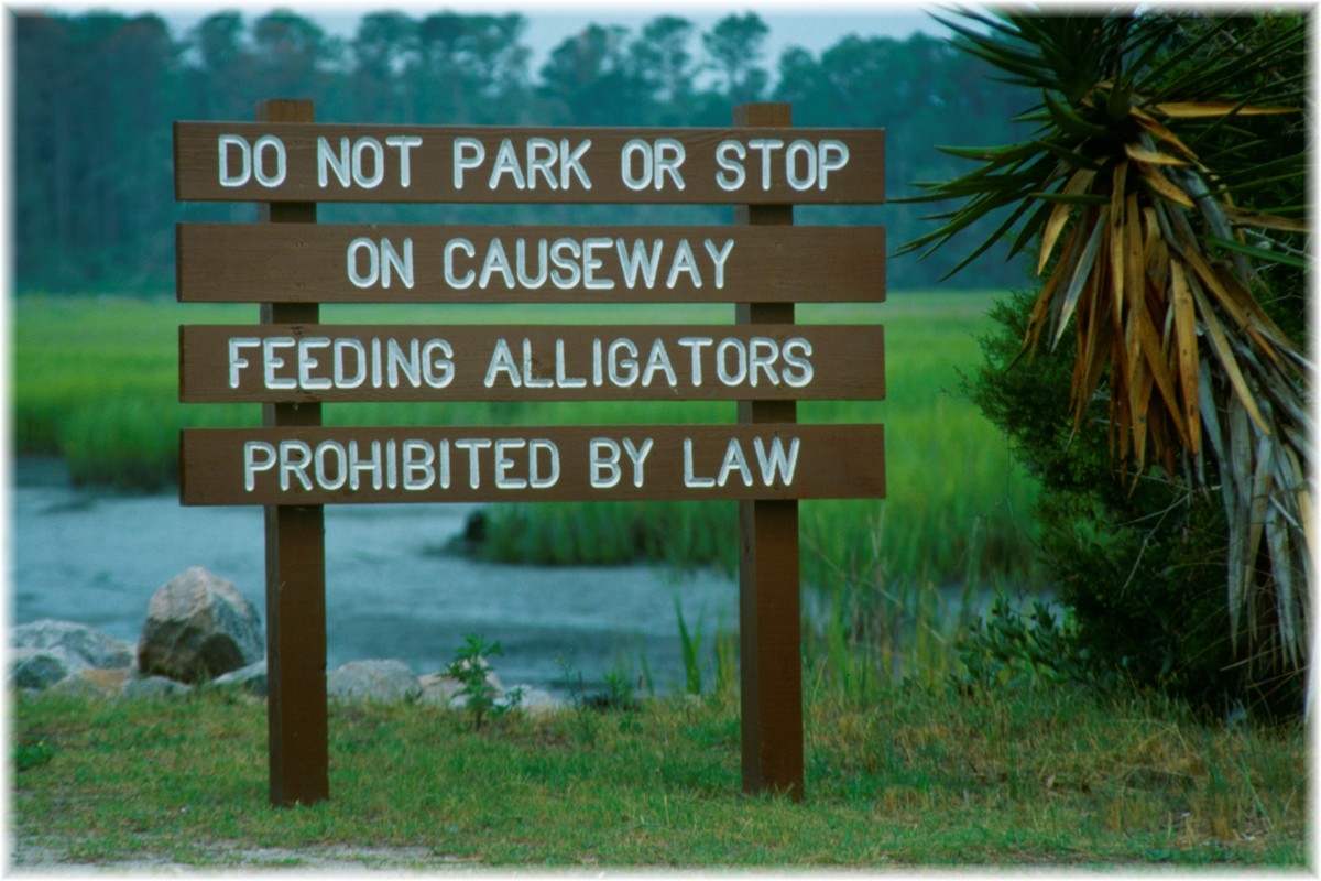 USA, South Carolina, Edisto Beach