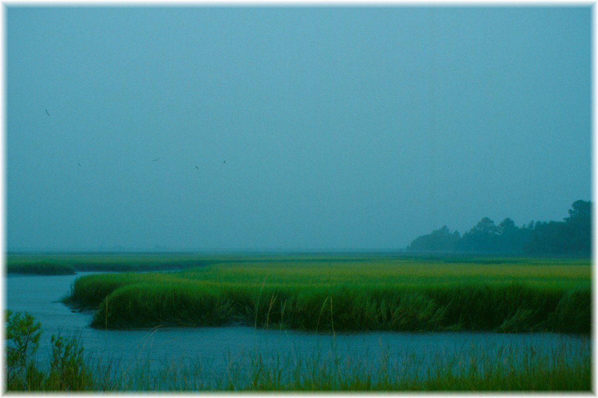 USA, South Carolina, Edisto Beach