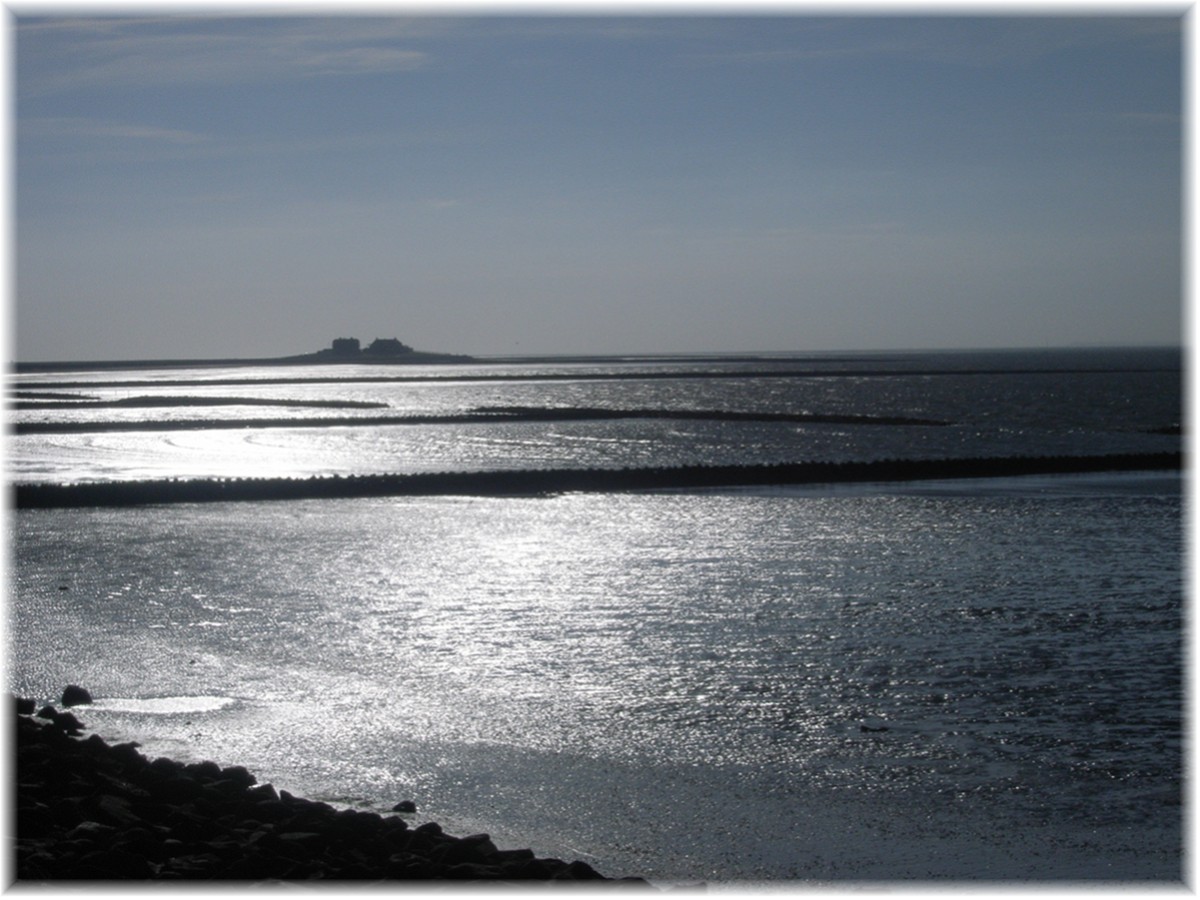 Auf der Hallig Hooge