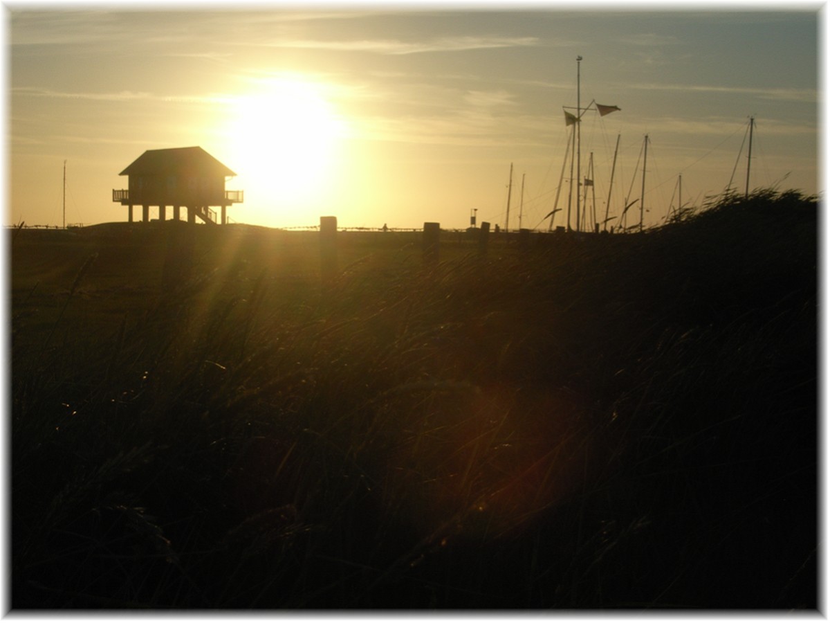 Auf der Hallig Hooge