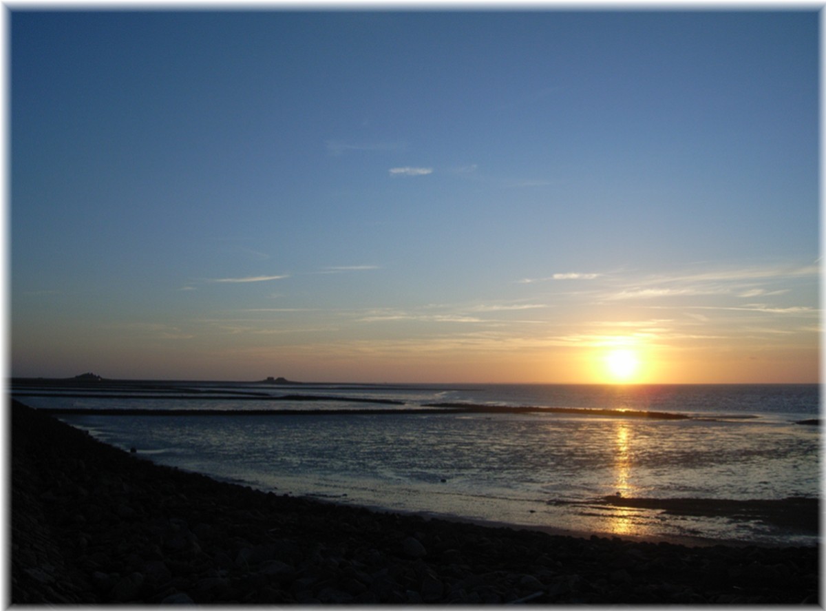 Auf der Hallig Hooge