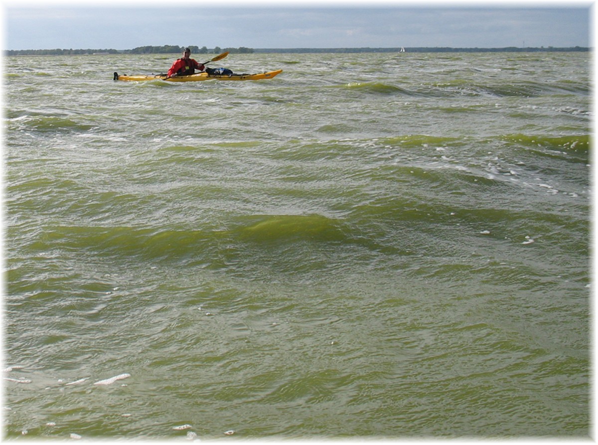 Auf dem Bodden