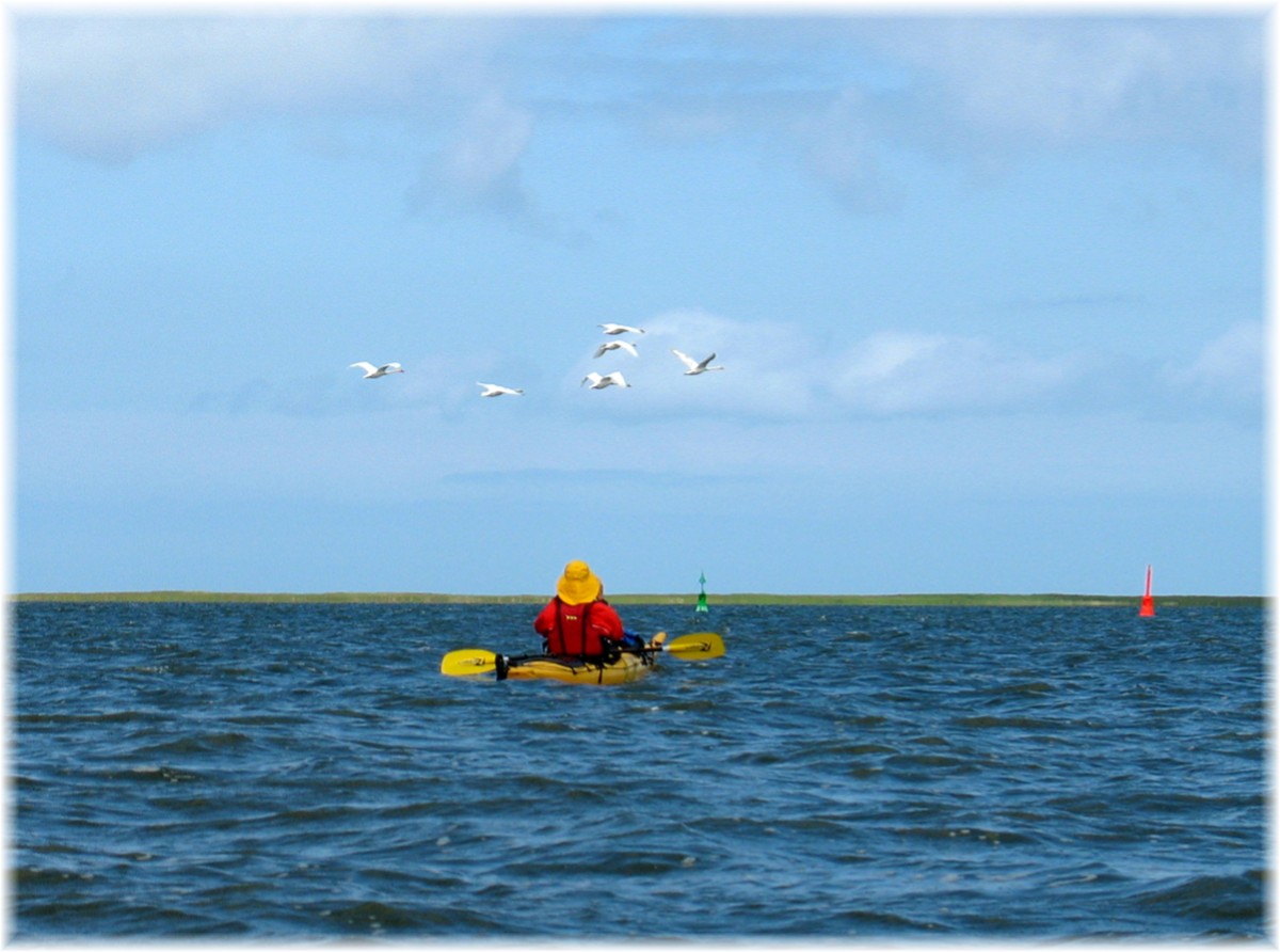 Auf dem Bodden