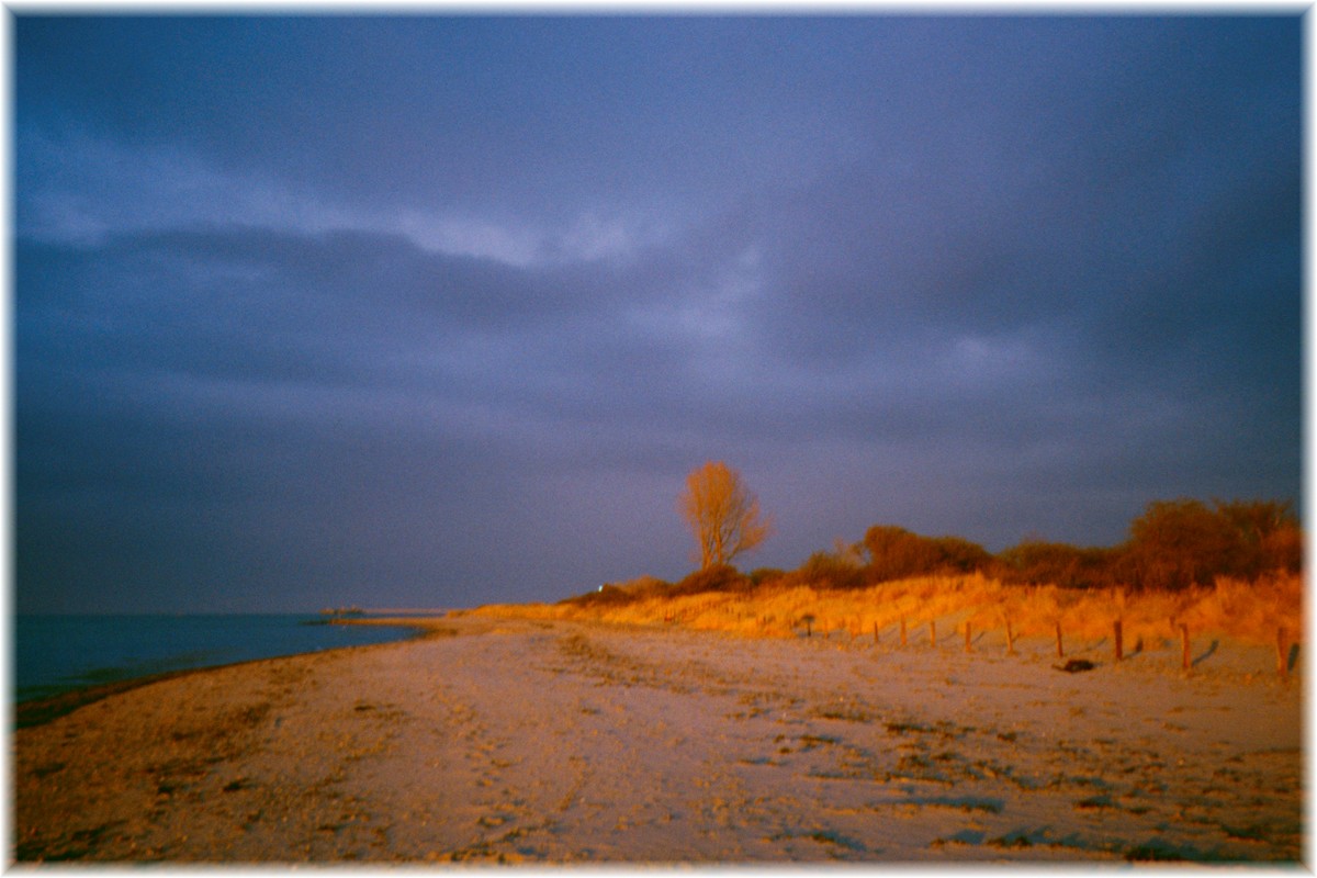 Am Strand von Grönwohld